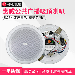 Huiwei TD201 fixed pressure ceiling speaker ceiling speaker embedded store home speaker