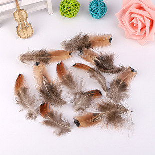 ���l���u��ëɽ�u���cDIY���b�o�ϻ�c��ë��c�b�DIY����