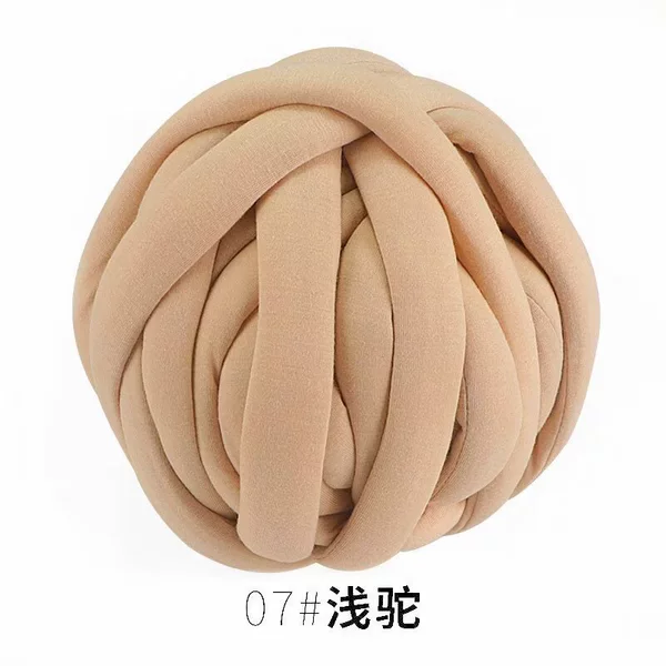 07 Land Camel