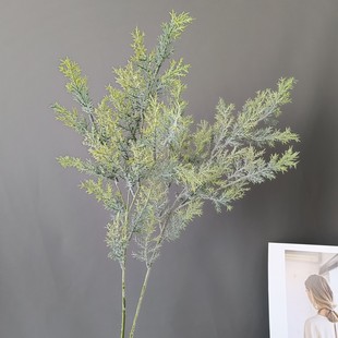 ��֦�̰ؐ۠��m���ɸ�ɽ�� ����؛Դ ���W�ҾӘӰ��g�Ƶ��c�b�