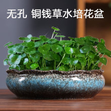 水培花盆水仙睡莲碗莲无孔金钱水养大号陶瓷铜钱草专用盆直销