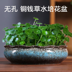 水培花盆水仙睡蓮碗蓮無孔金錢水養大號陶瓷銅錢草專用盆廠家直銷