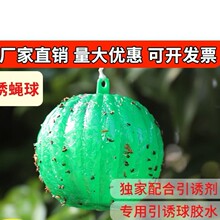�������ճ�x���Tω�����ω��С��ω��h�ˈ@�Tճ���ω���T����