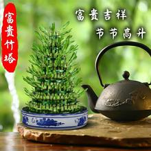 ���F����������ˮ��Gֲ���������Lɳͬ���µ��_�����H��������U