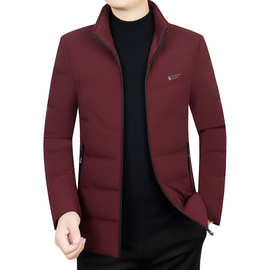 2025冬季新款立领白鸭绒男士羽绒服青中年加厚保暖休闲高档外套男