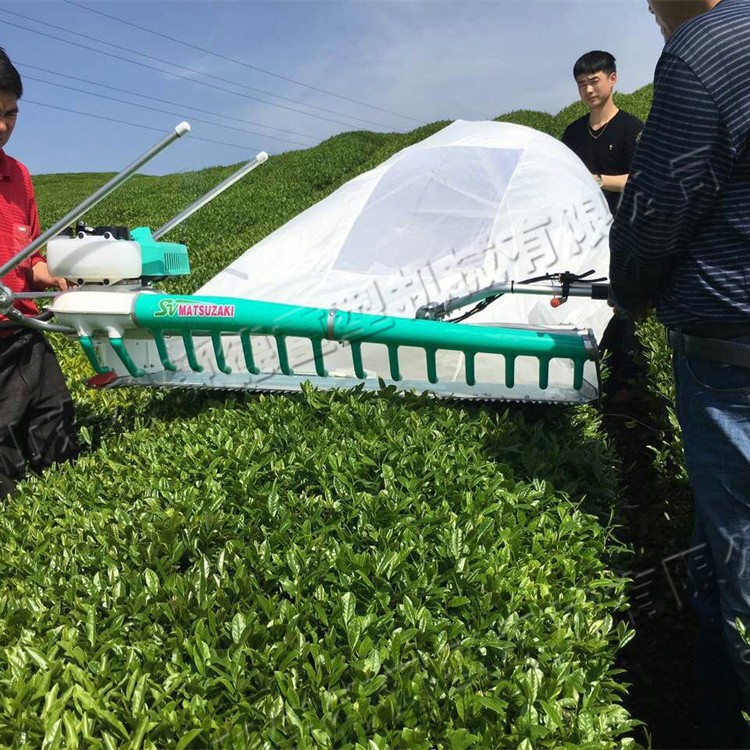 小型茶叶收割机   单双人茶叶采摘设备    钛合金刀片摘茶机