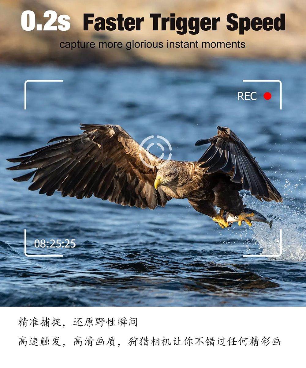 尾巴3
