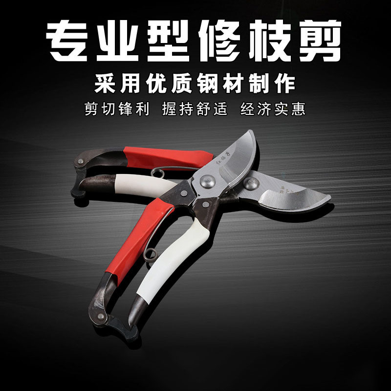 自产自销 SK-5高碳钢红梅子 果树剪 修枝剪 园林剪园艺工具粗枝剪