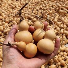 2026��؛���J������Ȼͨ؛�[���ְѼ�����С���J�������J�S�����l