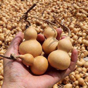 2026��؛���J������Ȼͨ؛�[���ְѼ�����С���J�������J�S�����l