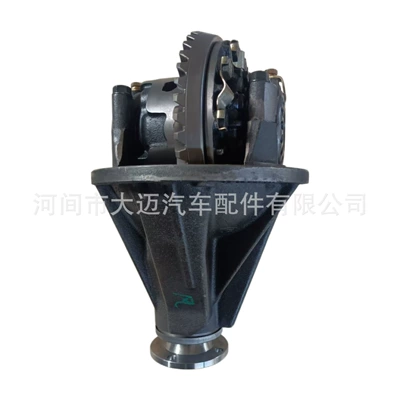 four-wheel drive version of the – Differential assembly