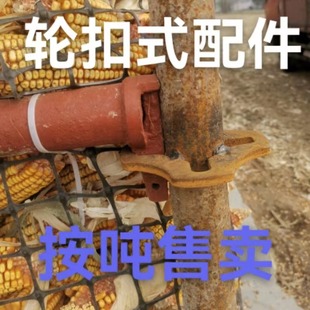 �P���_�ּ�݆�P���^������׶�������B���N�M�U�_�ּ� ݆�ۙM�U