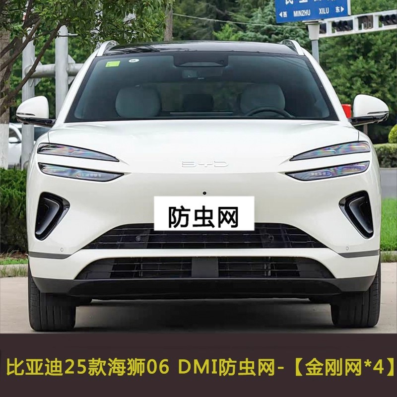 Suitable for Byd 25 Model Sea Lion 06 Ev Dmi Car Insect-Proof Net, Water Tank Protective Net, Dust-Proof and Lint-Proof Mesh