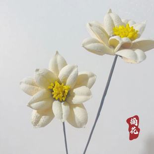 Handmade dried flower ornaments indoor art flower arrangement factory wholesale Yunnan dried flower gardenia