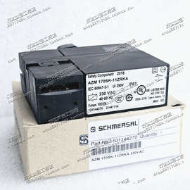 施迈赛SCHMERSRL安全门开关 AZM 170SK-11ZRKA 230VAC 101144270