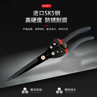 [1321 People Praise] New Imported Sk-5 Steel Large Spring Scissors for Home Professional Shaving Sheep Wool
