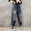 Autumn retro harem jeans, trousers for leisure, with embroidery, oversize, plus size