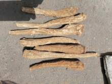 ���500G��Ʒ�ľ�む�����lľ�������ľ��Ƭԭ��ɢ�b��޹�ɴ��