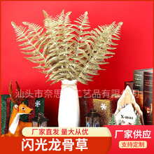 ���R�d������������W�����ǲ� �}�Q���ռҾӻ�Y�zӰ�Ɍ��b�ƷD