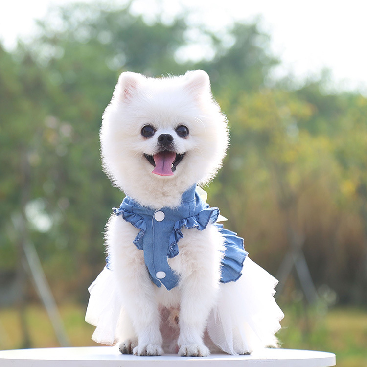 Princess Denim Bow Knot Pet Clothing display picture 4
