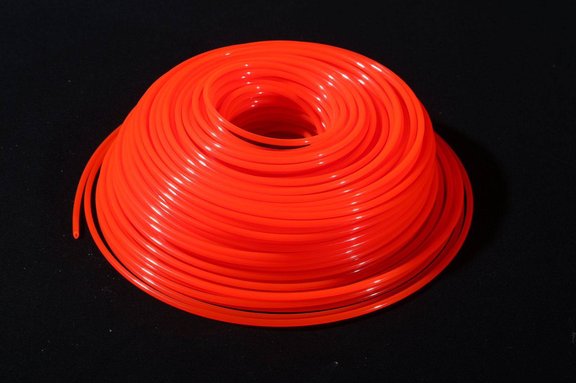 4D9A5867.JPG