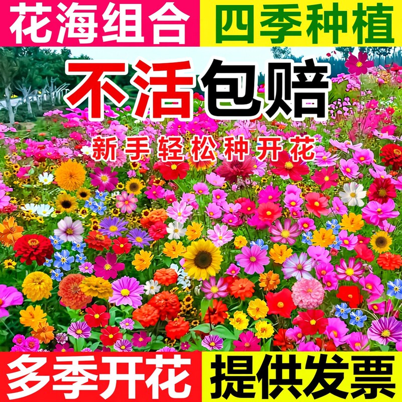 Cold-Resistant Perennial Dwarf Wildflower Mix Cosmos Seeds Easy to Grow in All Seasons, Cosmos Seeds for Garden Outdoor Use Cold-Resistant Perennial Dwarf Wildflower Mix Cosmos Seeds Easy to Grow in All Seasons, Cosmos Seeds for Garden Outdoor Use