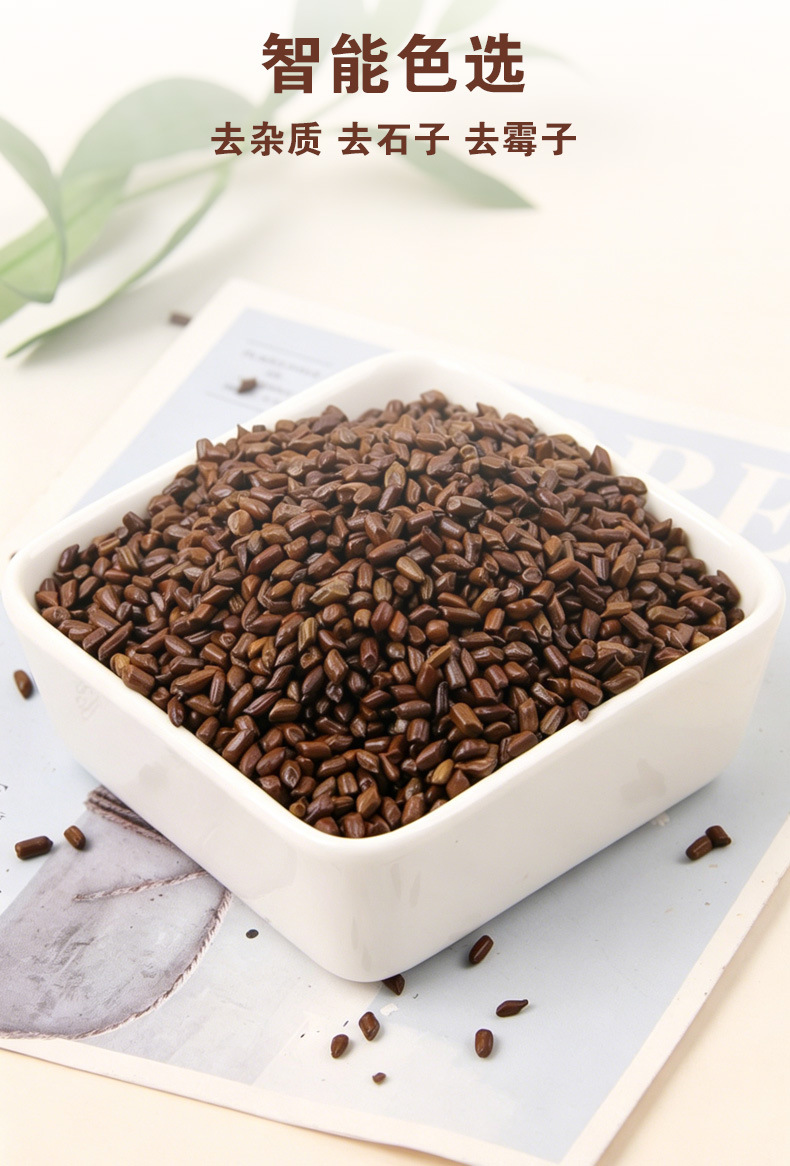 Cassia Seed (Semen Cassiae) — Roasted Jue Ming Zi Food Herb for Herbal Tea specifications