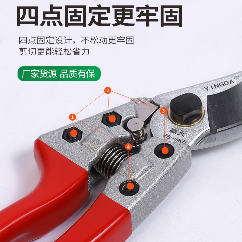 Winda al por mayor tijeras de podar de jardinería tijeras de podar de rama sk5 hogar de acero al carbono al aire libre árbol frutal cama tijeras de podar