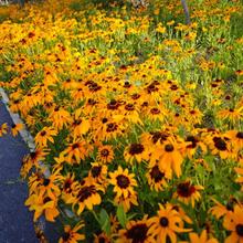 ľջNļN_׻ͥԺ·߅G޸ջN