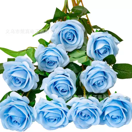 sky blue