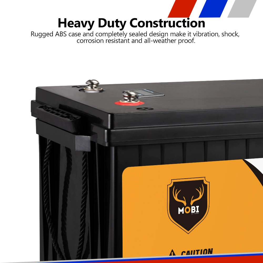 ИСТОЧНИК производитель 12,8 V 200AH железная литиевая батарея