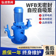 WFB型无密封自控自吸泵 不锈钢多规格防爆无泄漏自吸泵厂家现货