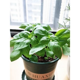 �_�շN�ݷN�������_�շN�ә����_�����_���~�N�Ѵ��~�Ō������_��