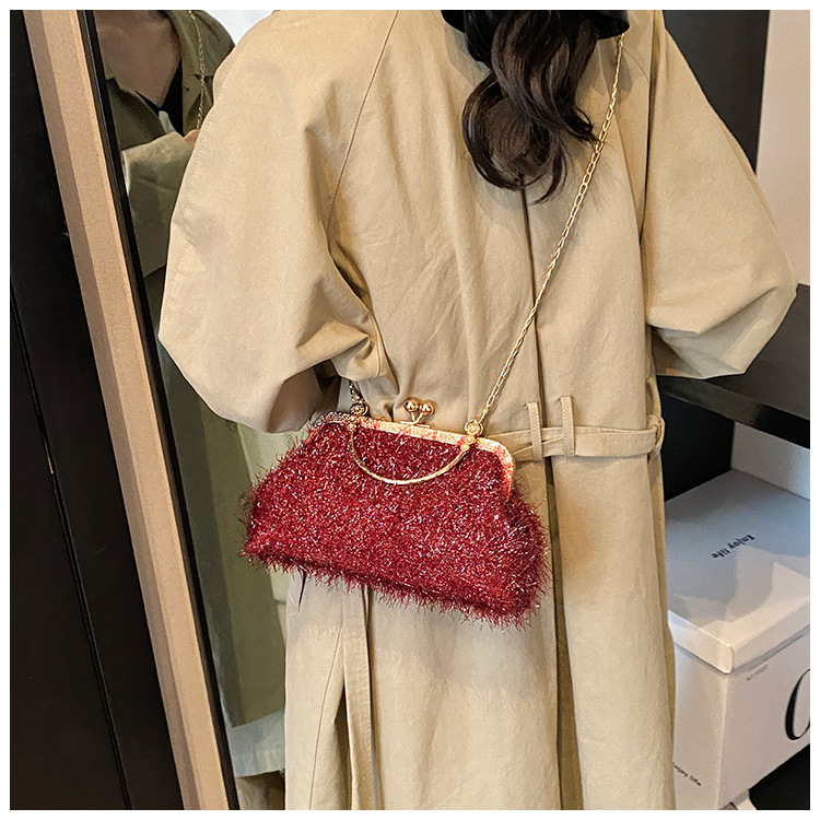 A trendy and fashionable women's 2024 autumn new chain crossbody bag, a Korean-style hand-held shell bag undefined