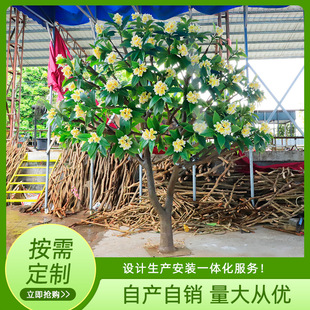 �����u������ͥԺ�b�������辰�Gֲ���^��c�b�ɼӹ�����