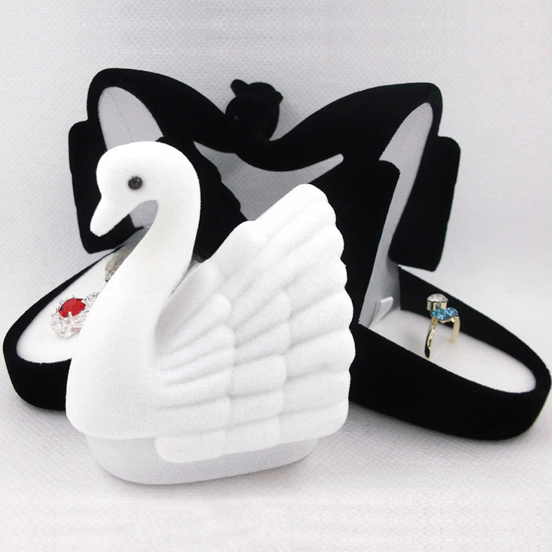 Swan