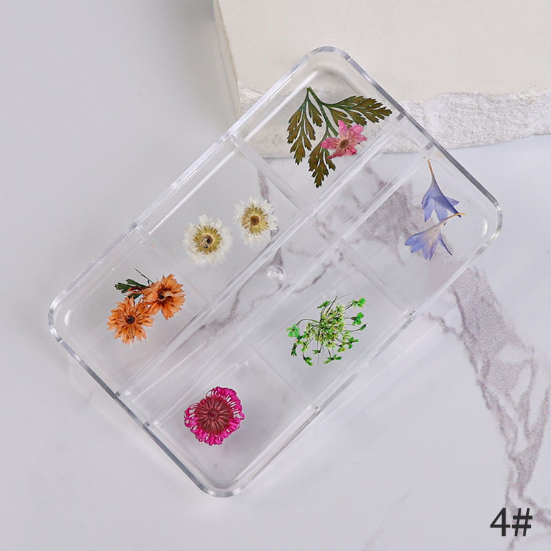 Uña flor seca japonesa pequeña fresca estrella de sol mixta flor real flor pequeña flor de manicura caja de flores secas manicura