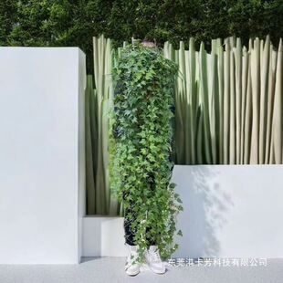 �ͺ�ֲ�ﳣ���������҃ȴ����m���B�o�Gֲ�����՚��ļ������L����