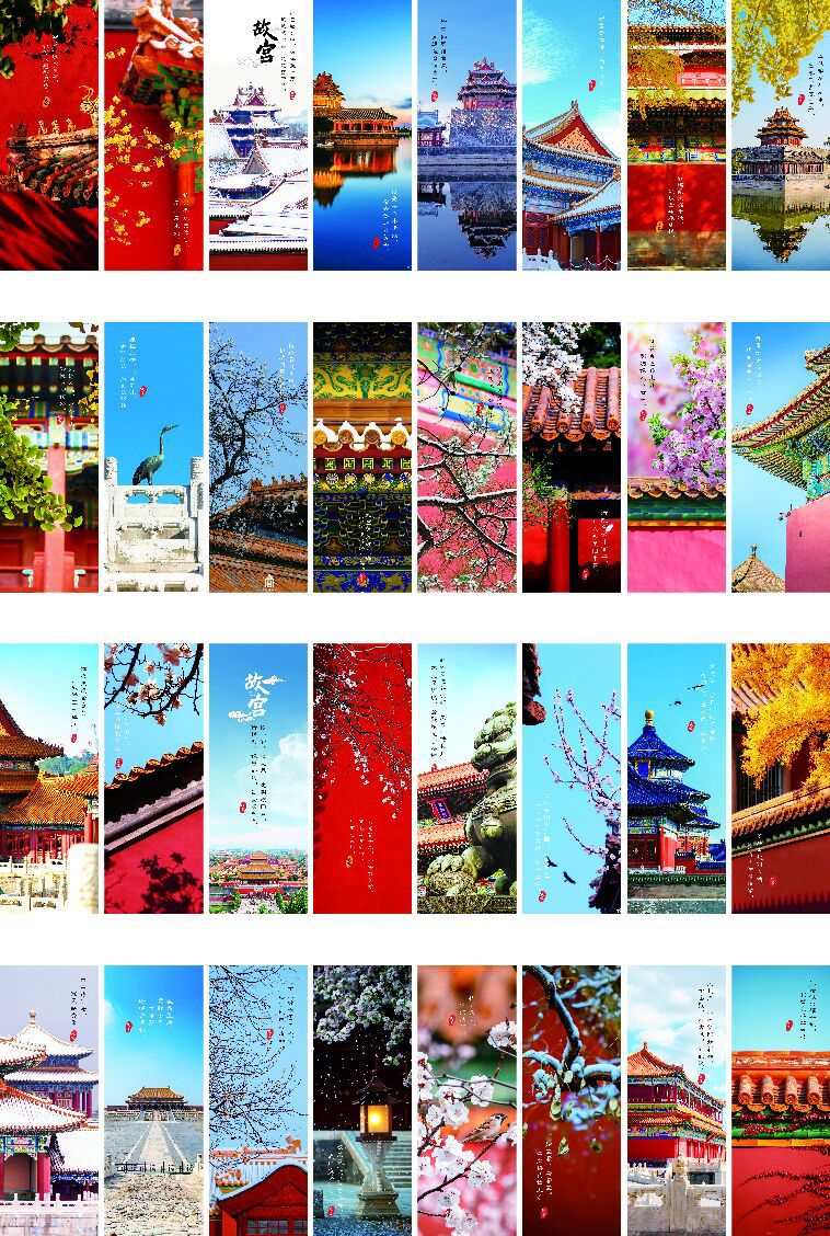 QQ图片20240517165942