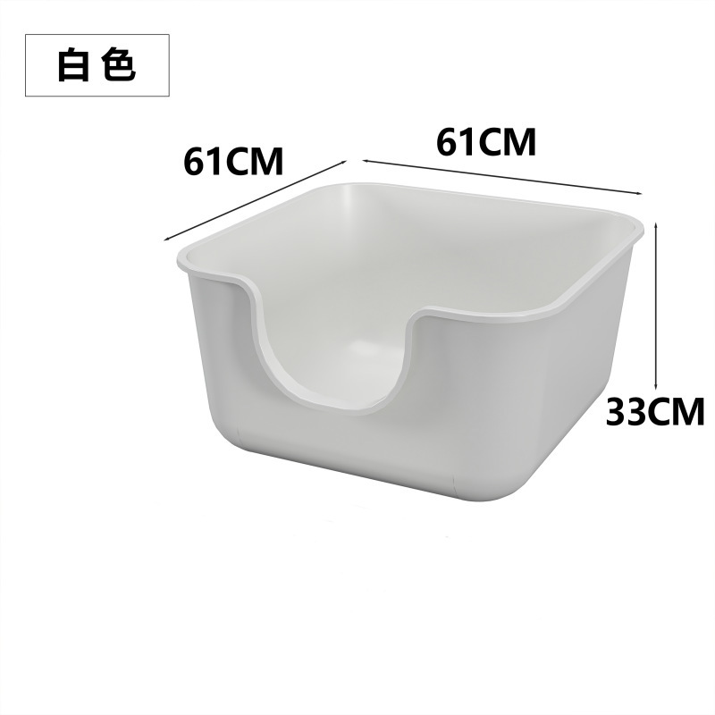 치자나무 화이트