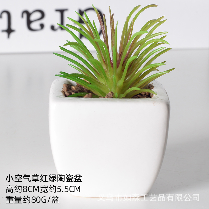 Simulación de cerámica bonsai de carne doméstica decoración de escritorio de oficina plantación verde maceta props de disparo maceta combinada artificial image 51