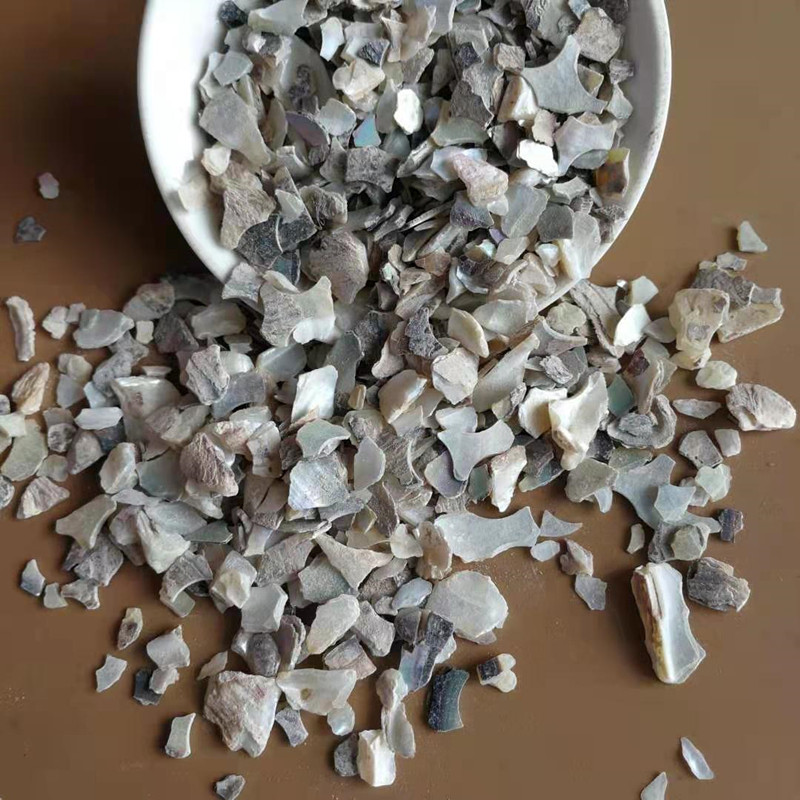 Sea Abalone Shell Granules Shi Jue Ming 500g Dried Mineral Herb for Decoction and Culinary Use specifications