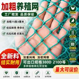 爬藤网渔网养殖网捕防鸟网天顶网鱼网养鸡网围边网护栏网尼龙网