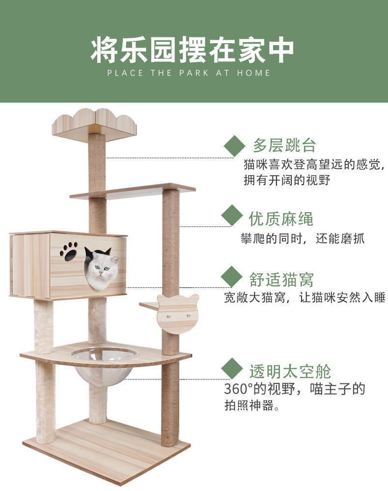 b50c7945-78c1-47ae-8de0-cee5ba46c04d.jpe