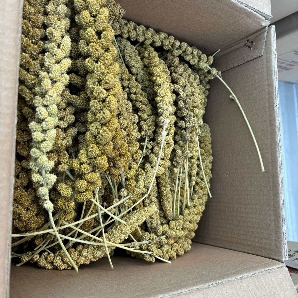 Маленький кукурузный молярный зерновой блок Красный Белый Зеленый Черный Желтый Зерновой Ухо Льняное ухо Овасное ухо Сорго Ухо Рисовое ухо