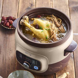 Be'ar/小'熊 DDG-D40B1 电炖锅紫砂慢炖家用全自动大容量