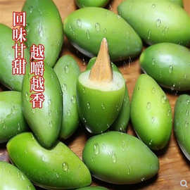 潮汕青橄榄苗甜种橄榄嫁接苗三棱橄榄乌橄榄黑橄榄油橄榄水果树苗