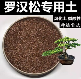 �_�h�������辰�L�����w���L��ʯ͸��rˮ�N�����������ɘ���