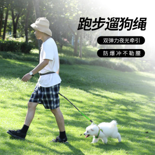 Dog Running Traction Rope Luminous Reflective Pet Cushioning Elastic Dog Walking Rope suit Explosion-proof Waist