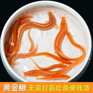 �S���q���������q���B�ͻ��S�����q��ˮ���w�^�p�~��Ϲ����~